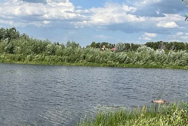 Берега Урала станут чище